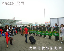 www.csjswp.com